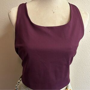 Girlfriend Collective Deep Purple sports bra sz 5X good condition